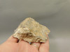Red Crazy Lace Agate Polished Rock Decorator Stone Mexico #O3