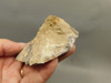 Red Crazy Lace Agate Polished Rock Decorator Stone Mexico #O3