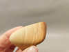 Bruneau Jasper 2 Tumbled Matte Finish Rock Oregon #O100