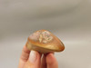 Bruneau Jasper 2 Tumbled Matte Finish Rock Oregon #O100