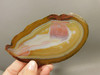 Brazilian Agate Polished Stone Slab Piranha Agate Rock #O14
