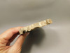 Petrified Wood Polished Round Insect Borings Vantage WA #O154