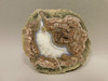 Mushroom Jasper Thunderegg Polished Rock Geode Blue Agate #O26