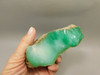 Green Chrysoprase Lapidary Cabbing Rough Rock