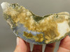 Owls Hole Agate Polished Stone Collector Sagenite Rock #O5