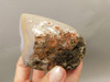 Coyamito Agate Polished Stone Nodule Collector Rock Mineral #O12