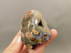 Coyamito Agate Polished Stone Nodule Collector Rock Mineral #O12
