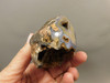 Coyamito Agate Polished Stone Nodule Collector Rock Mineral #O12