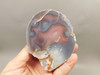 Malawi Agate Polished Stone Nodule Collector Rock Mineral #O12