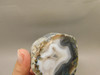 Shadow Agate Polished Stone Botswana Parallax Rock #O12
