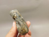 Agate Polished Stone Nodule Collector Rock Mineral #O20