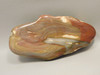 Rainbow Petrified Wood Tumbled Polished Rock Arizona #O1