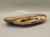 Rainbow Petrified Wood Tumbled Polished Rock Arizona #O1