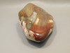 Rainbow Petrified Wood Tumbled Polished Rock Arizona #O1