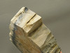 Petrified Wood Polished Rock 6.5 inch Nevada #ON2