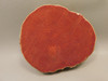 Brazilian Agate Polished Stone Slab Orange Banded Rock #O2