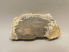 Petrified Wood Unpolished Ribbon Wood Slab Yakima Washington #O10