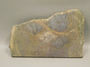 Dinosaur Bone Fossilized Polished Rock Stone Slab #O6
