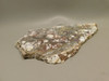 Wild Horse Stone Slab Unpolished Rough Rock Arizona #O6