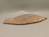 Birdseye Rhyolite Rough Rock Poppy Jasper Stone Slab #O4