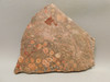Birdseye Rhyolite Rough Rock Poppy Jasper Stone Slab #O5