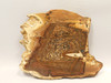 Deschutes Jasper Stone Slab Unpolished Rough Rock Oregon #O2