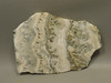 Silver Lace Onyx Stone Slab Unpolished Rock Calico California #O2