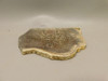 Deschutes Jasper Stone Slab Unpolished Rough Rock Oregon #O6