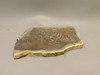 Deschutes Jasper Stone Slab Unpolished Rough Rock Oregon #O7