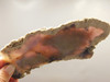 Burro Creek Agate Stone Slab Unpolished Purple Rock Arizona #O5