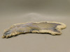 Burro Creek Agate Stone Slab Unpolished Purple Rock Arizona #O5