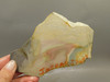 Willow Creek Picture Jasper Rough Rock Stone Slab Lapidary Idaho #O9