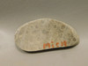 Petoskey Stone Slab Unpolished Rough Rock Fossil Michigan #O2