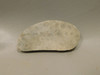 Petoskey Stone Slab Unpolished Rough Rock Fossil Michigan #O2
