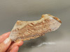 Wave Dolomite Unpolished Stone Slab Wavy or Rolling Hills Rock #O3