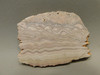 Wave Dolomite Unpolished Stone Slab Wavy or Rolling Hills Rock #O4