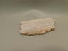 Wave Dolomite Unpolished Stone Slab Wavy or Rolling Hills Rock #O5