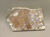 Wild Horse Stone Slab Unpolished Rough Rock Arizona #O9