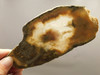 Owls Hole Agate Unpolished Rough Stone Slab Sagenite Death Valley #O1