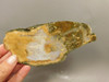 Owls Hole Agate Unpolished Rough Stone Slab Sagenite Death Valley #O1