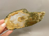 Owls Hole Agate Unpolished Rough Stone Slab Sagenite Death Valley #O1