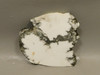 Howlite Unpolished Stone Slab White Rough Rock Lapidary #O1
