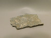 Turritella Agate Natural Shell Fossil Unpolished Stone Slab #O10