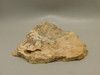 Chapenite Jasper Unpolished Rough Rock Ft. Irwin California #O11