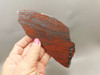 Jaspillite Polished Stone Slab Red Chatoyant Rock Michigan #O11 Jaspillite Polished Stone Slab Red Chatoyant Rock Michigan #O11