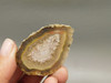 Laguna Agate Polished Stone Nodule Collector Banded Rock #O27