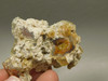 Laguna Agate Polished Stone Nodule Collector Banded Rock #O20