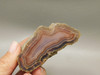Laguna Agate Polished Stone Collector Banded Pink Rock #O28