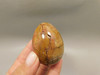 Cherry Creek Jasper Egg 2 inch Rock Mineral Red Creek Stone #O4