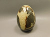 Septarian Nodule Egg Shaped 2.4 inch Polished Rock Utah Stone #O1
